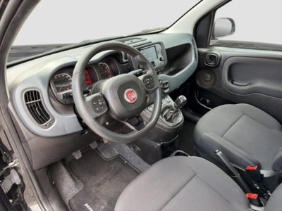 Fiat Panda Cross Cross 1.0 FireFly S&S Hybrid (9)