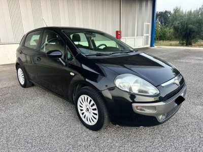 Fiat Punto Evo 1.3 Mjt 75 CV 5 porte Active usata