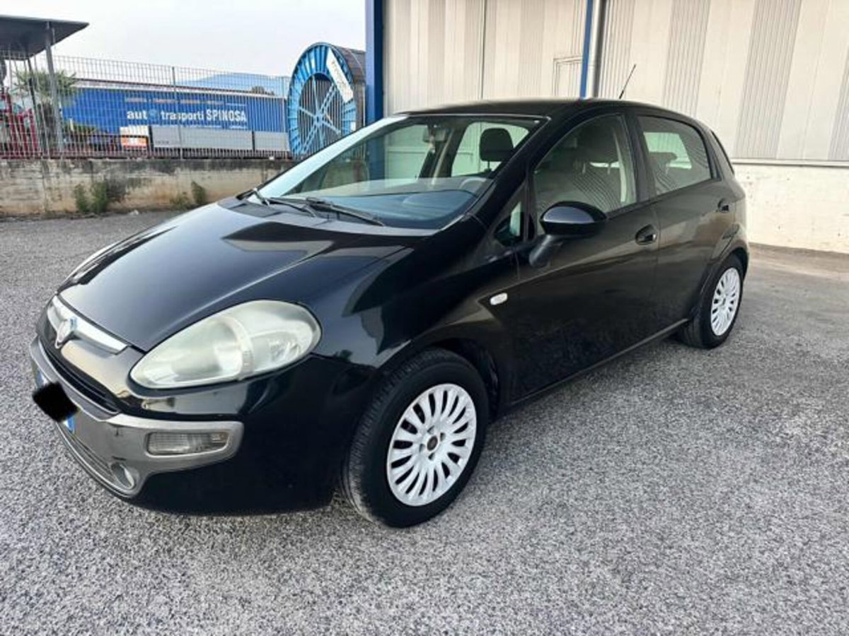 Fiat Punto Evo 1.3 Mjt 75 CV 5 porte Active (3)