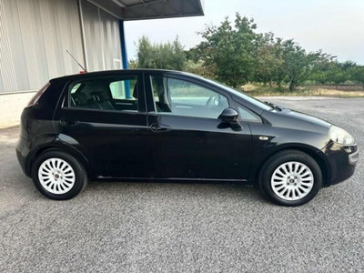 Fiat Punto Evo 1.3 Mjt 75 CV 5 porte Active (8)