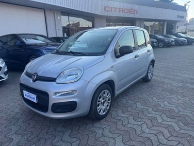 Fiat Panda 1.2 EasyPower Easy usata