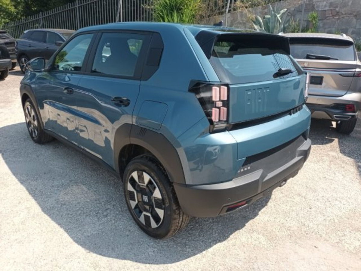 Fiat Grande Panda 1.2 Icon 100cv (4)