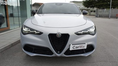 Alfa Romeo Stelvio Stelvio 2.2 Turbodiesel 210 CV AT8 Q4 Estrema (3)