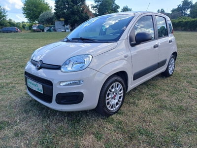 Fiat Panda 1.2 Lounge (2)