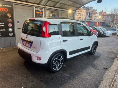 Fiat Panda 1.0 FireFly S&S Hybrid City Life (2)
