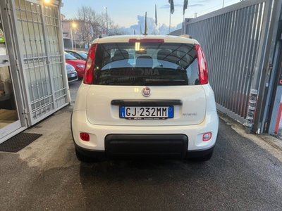 Fiat Panda 1.0 FireFly S&S Hybrid City Life (5)