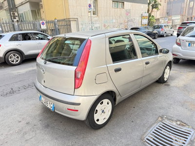 Fiat Punto 1.3 Multijet 16V 5 porte Dynamic (3)