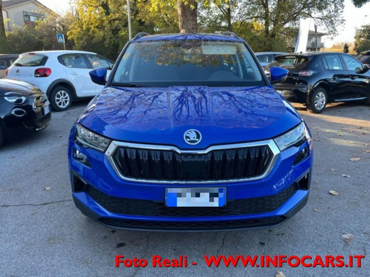 Skoda Karoq 2.0 TDI EVO SCR 115 CV DSG Executive (9)