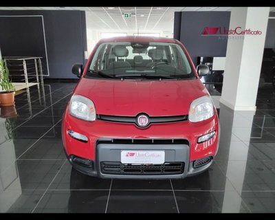 Fiat Panda Cross Cross 1.0 FireFly S&S Hybrid usata