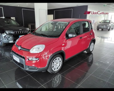 Fiat Panda Cross Cross 1.0 FireFly S&S Hybrid (3)
