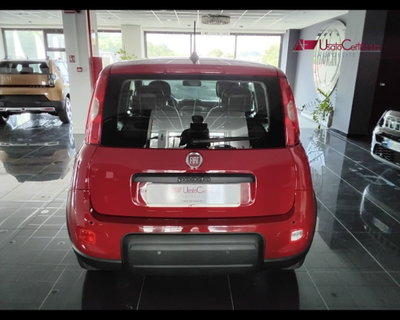 Fiat Panda Cross Cross 1.0 FireFly S&S Hybrid (4)