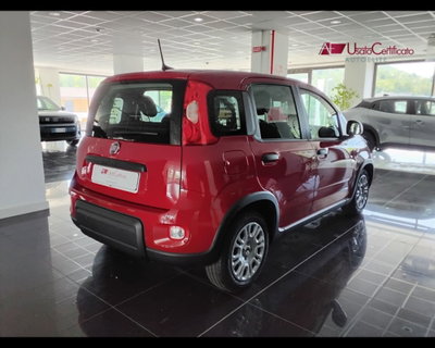 Fiat Panda Cross Cross 1.0 FireFly S&S Hybrid (6)