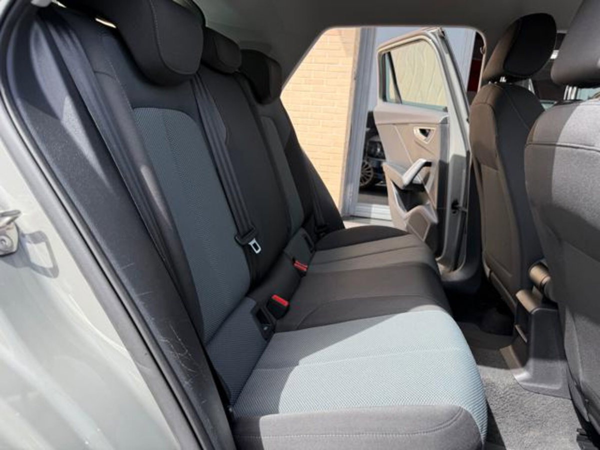 Audi Q2 Q2 1.6 TDI S tronic Design (8)