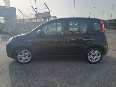 Fiat Panda 1.0 firefly hybrid s&s 70cv 5p.ti (5)