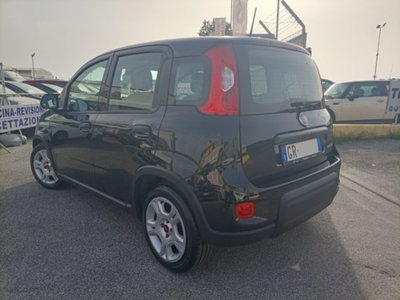 Fiat Panda 1.0 firefly hybrid s&s 70cv 5p.ti (6)