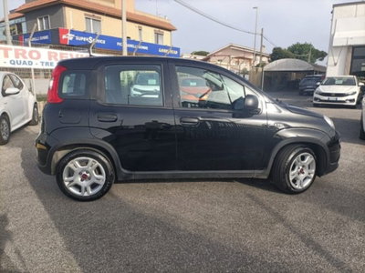 Fiat Panda 1.0 firefly hybrid s&s 70cv 5p.ti (9)