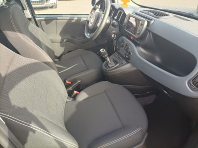 Fiat Panda 1.0 firefly hybrid s&s 70cv 5p.ti (10)