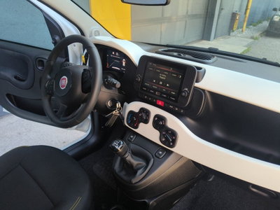 Fiat Panda Cross Cross 1.0 FireFly S&S Hybrid (11)
