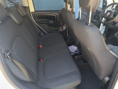Fiat Panda Cross Cross 1.0 FireFly S&S Hybrid (12)