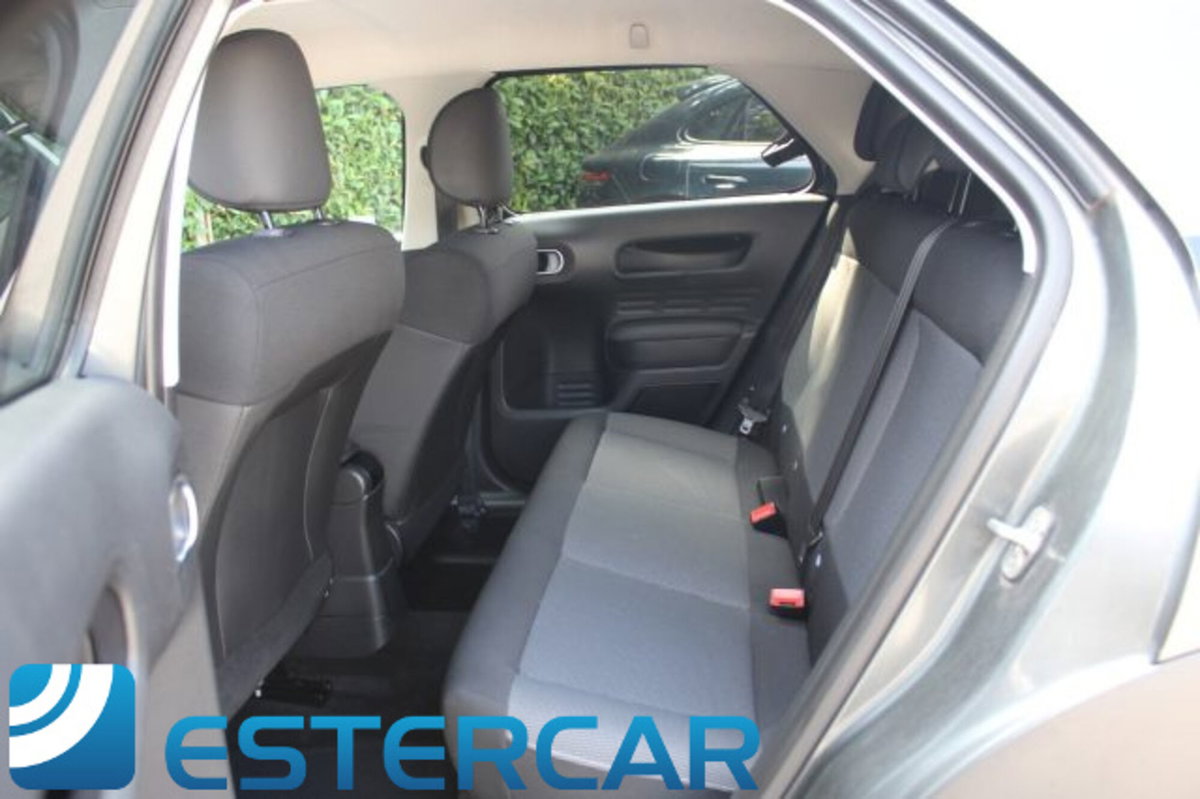 Citroen C4 Cactus BlueHDi 100 Shine (15)