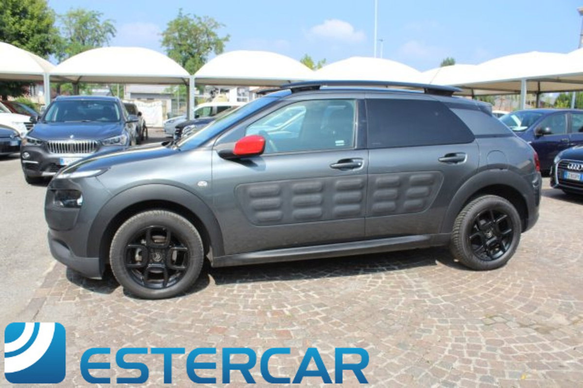 Citroen C4 Cactus BlueHDi 100 Shine (17)