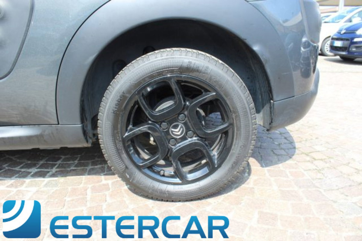 Citroen C4 Cactus BlueHDi 100 Shine (18)