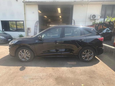 Ford Kuga 2.5 Full Hybrid 190 CV CVT 2WD ST-Line Design (14)