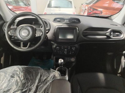Jeep Renegade 1.6 mjt Limited 2wd 130cv (9)