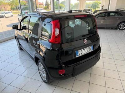 Fiat Panda 1.0 firefly hybrid s&s 70cv 5p.ti (3)
