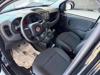 Fiat Panda 1.0 firefly hybrid s&s 70cv 5p.ti (6)