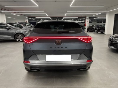 Cupra Formentor Formentor 2.0 TDI (12)