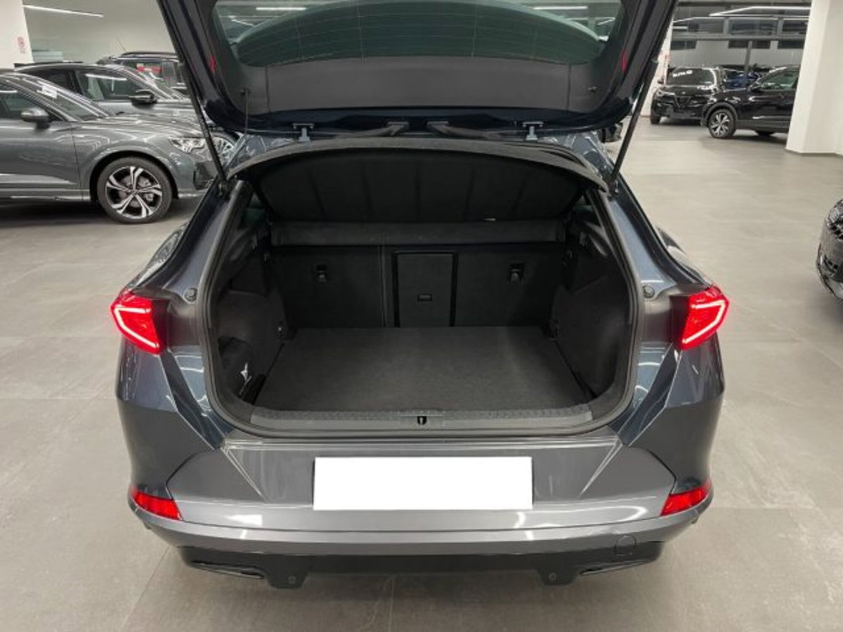 Cupra Formentor Formentor 2.0 TDI (14)