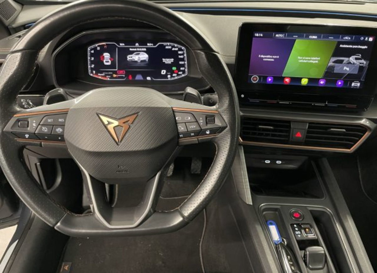 Cupra Formentor Formentor 2.0 TDI (2)