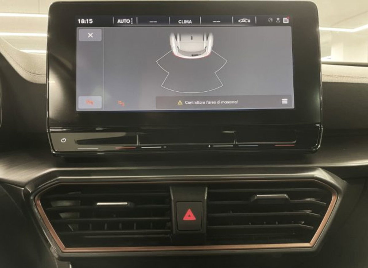 Cupra Formentor Formentor 2.0 TDI (20)