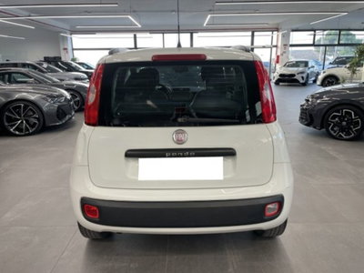 Fiat Panda 1.2 (4)