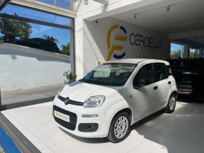 Fiat Panda 1.2 EasyPower Easy usata