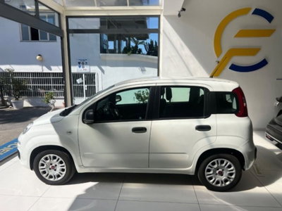 Fiat Panda 1.2 EasyPower Easy (10)