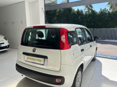 Fiat Panda 1.2 EasyPower Easy (12)