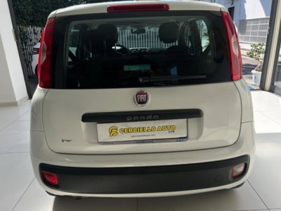 Fiat Panda 1.2 EasyPower Easy (14)