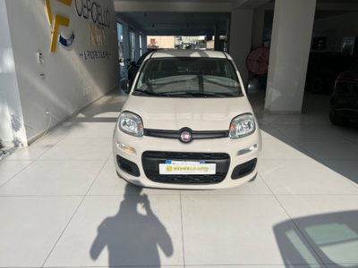 Fiat Panda 1.2 EasyPower Easy usata