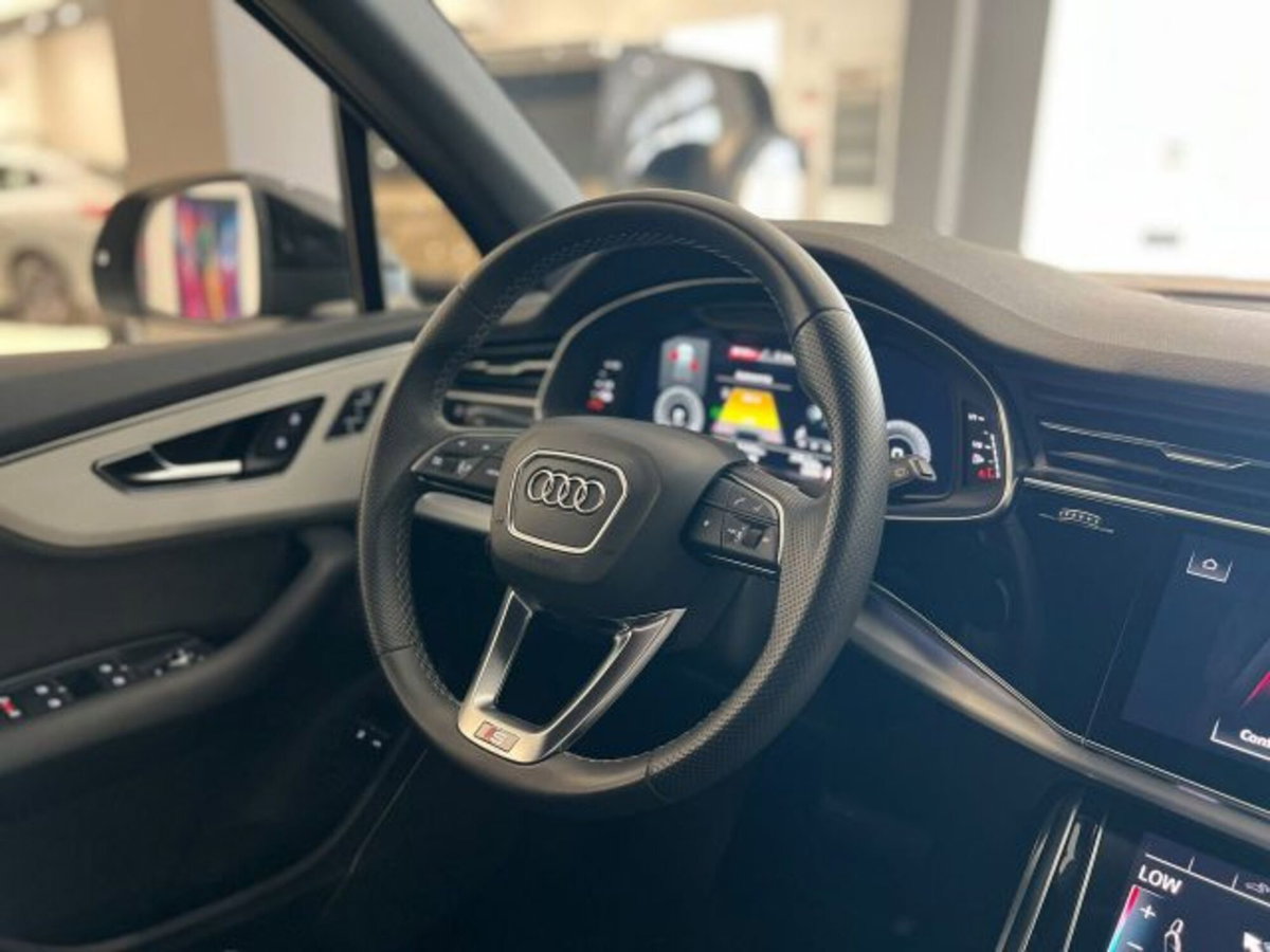 Audi Q7 55 TFSI e quattro tiptronic Sport (19)