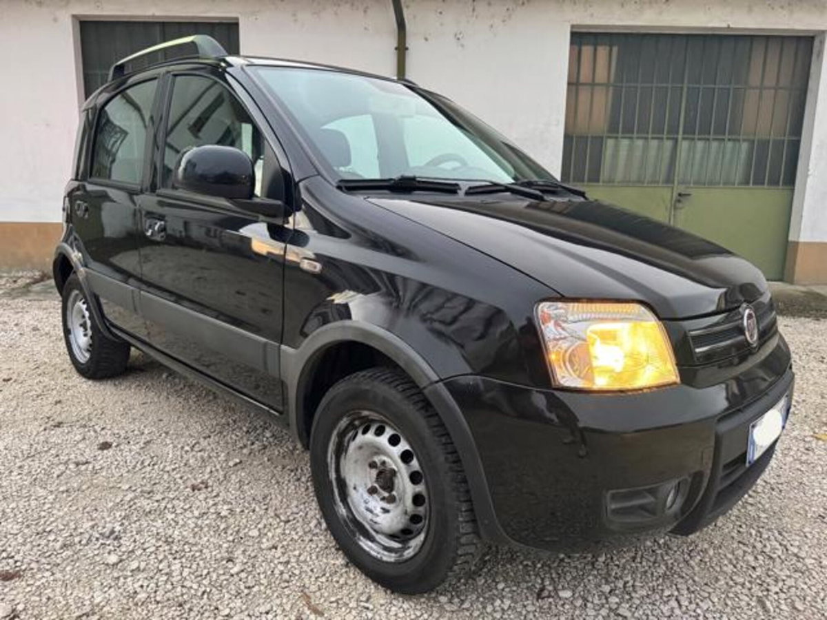 Fiat Panda 1.2 Dynamic Natural Power (3)