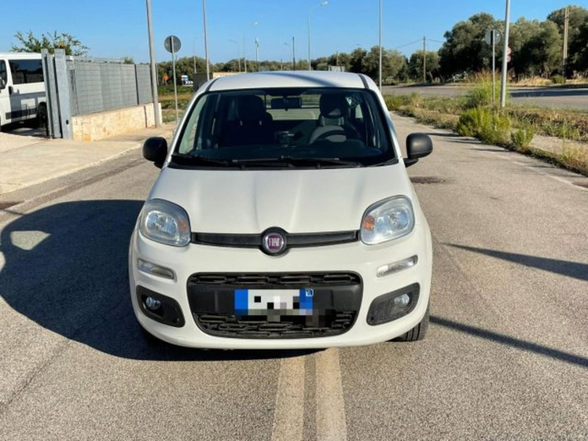 Fiat Panda 1.3 MJT S&S Easy Van 4 posti (2)