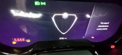 Alfa Romeo Tonale 1.3 phev Sprint Q4 280cv at6 (13)