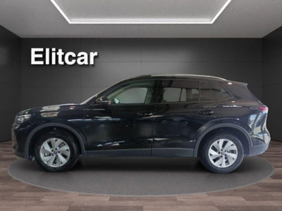 Volkswagen Tiguan 2.0 tdi Life 150cv dsg (4)