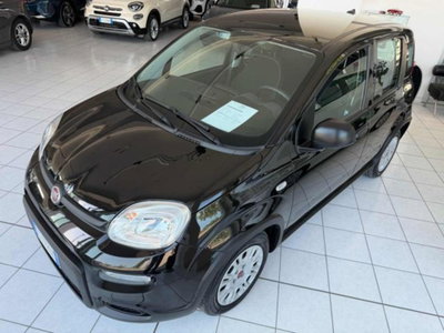 Fiat Panda 1.0 firefly hybrid s&s 70cv 5p.ti (2)
