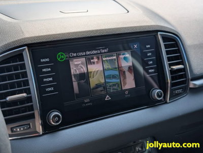 Skoda Karoq 2.0 TDI EVO SCR 115 CV DSG Executive (14)