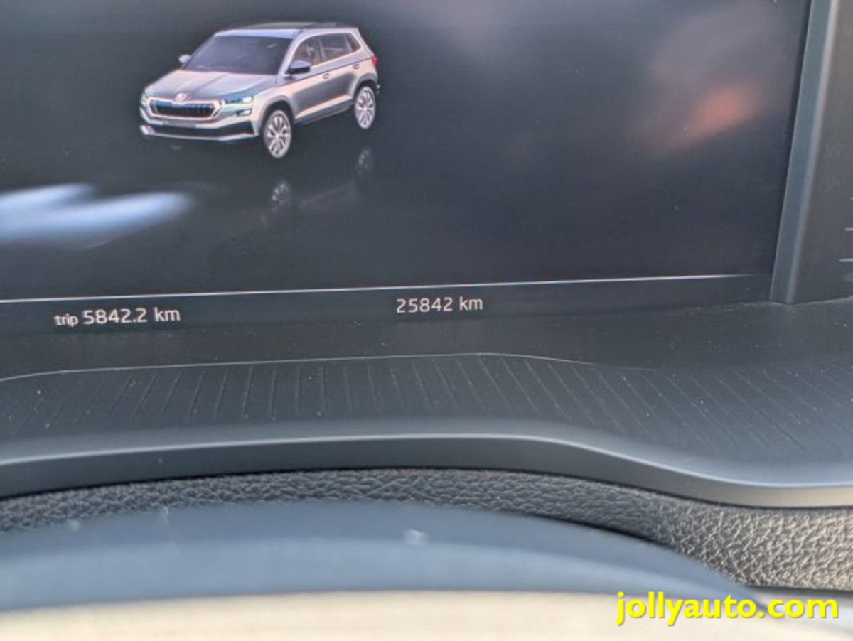 Skoda Karoq 2.0 TDI EVO SCR 115 CV DSG Executive (18)
