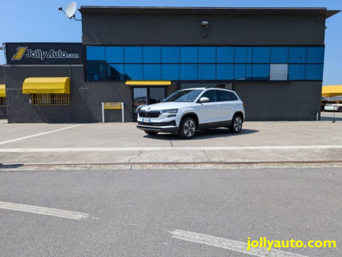 Skoda Karoq 2.0 TDI EVO SCR 115 CV DSG Executive (20)