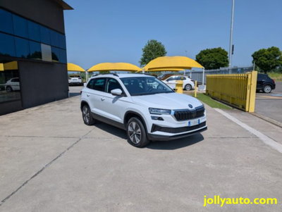 Skoda Karoq 2.0 TDI EVO SCR 115 CV DSG Executive (3)